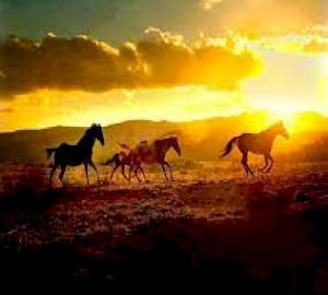 Qui est Dhul Qarnayn&nbsp;?