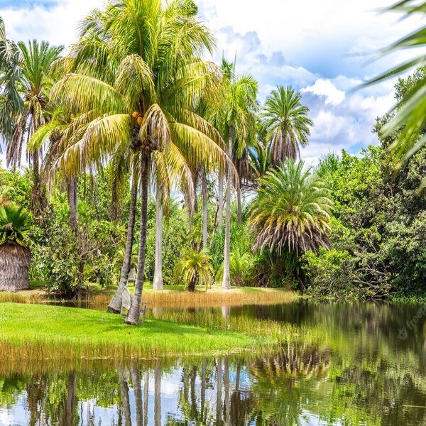 Le récit des 2&nbsp;jardins