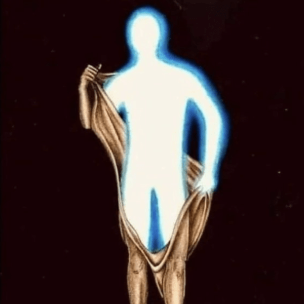 Le rôle d’Adam dans notre&nbsp;évolution